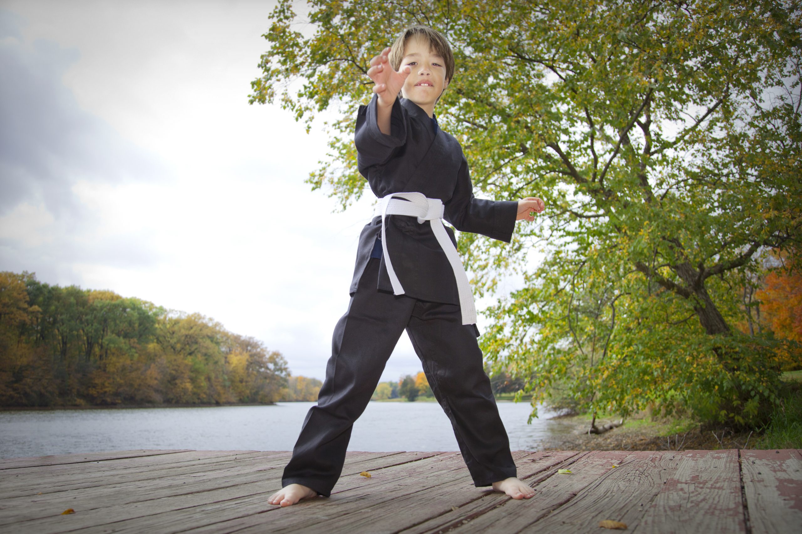 Picture of a young Karate Kid