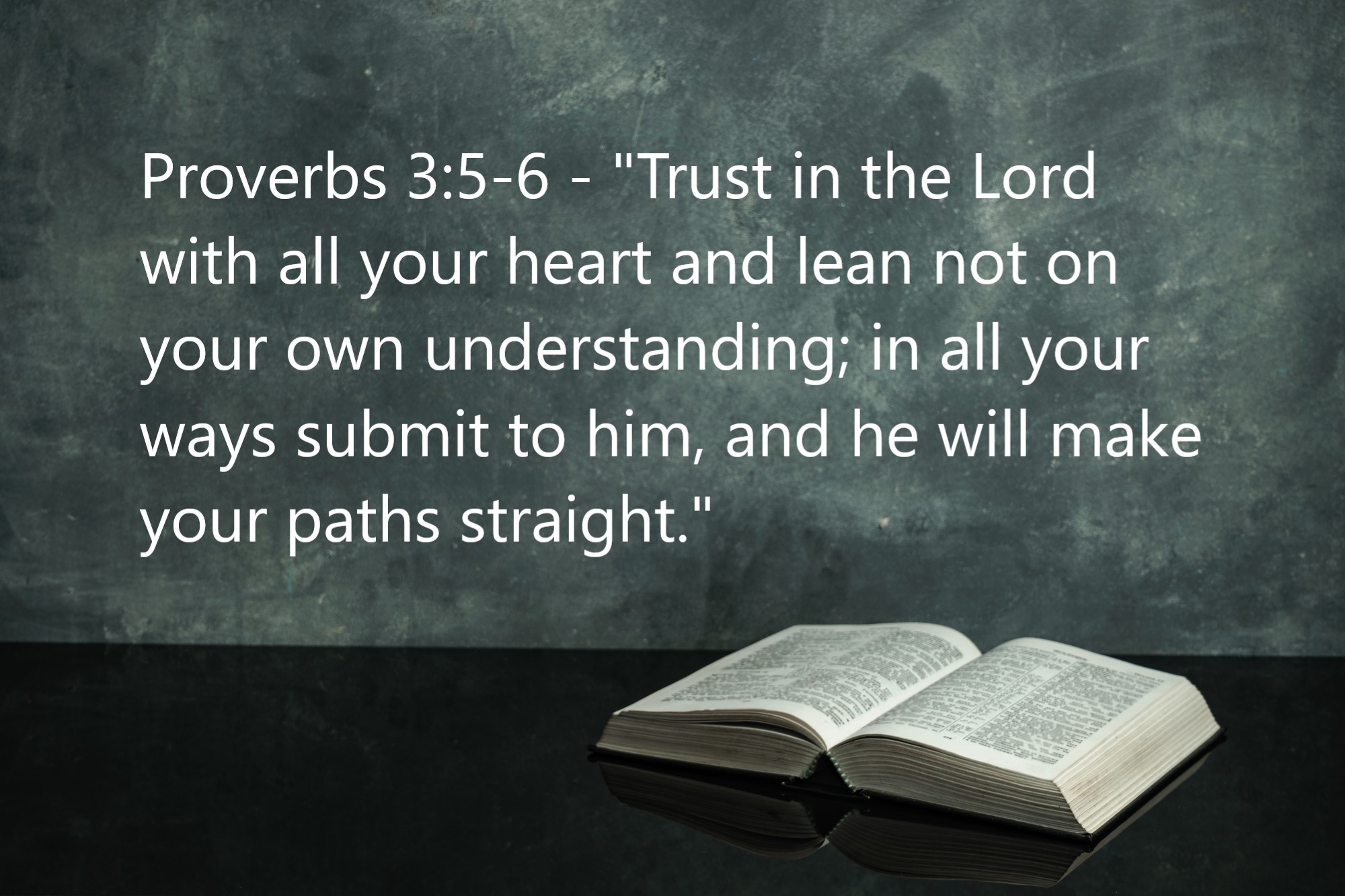 Proverbs 3:5-6 - "Trust in the Lord with all your heart and lean not on your own understanding; in all your ways submit to him, and he will make your paths straight."
